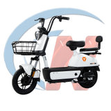 雅迪新国标电动自行车 乐远（铅酸48V23Ah）两轮电动助力代步车可上牌（KN）