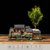 赤楠盆景植物客厅桌面小盆栽微景观造景绿植办公桌老房子模型摆件