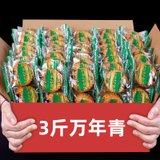 上海三牛万年青饼干3斤鲜葱酥葱香味椒盐苏打饼干整箱散装混合装