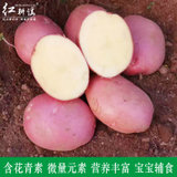 红皮小土豆新鲜马铃薯薯洋芋9斤装约90-100个左右（不发货内蒙、新疆、青海、西藏、宁夏、海南、甘肃、吉林、辽宁、黑龙江