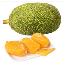 菠萝蜜35-40斤 新鲜水果热带果 当季热带 海南产地现摘发货