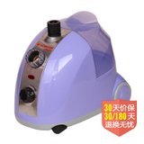 红心（Hongxin）RH2108豪华蒸汽挂烫机