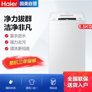 海尔(Haier) EB65M019 6.5公斤 全自动波轮洗衣机 漂甩二合一 白色