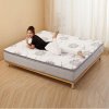 盛雅莱 28公分床垫 独立袋装弹簧 慢回弹记忆绵床垫 舒适(1.8米)