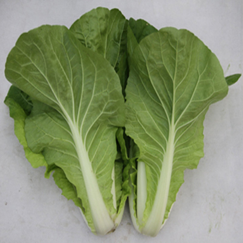 【中国新鲜水果图片】大漠果农新鲜蔬菜快菜一斤图片大全,高清图片