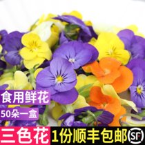 【顺丰】新鲜三色堇 食用花西餐蛋糕摆盘装饰花草(50朵*3盒 共150朵)