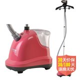 红心（Hongxin）挂烫机RH2009（浅粉色）（13500W,45秒快速出蒸汽气,省时省电）