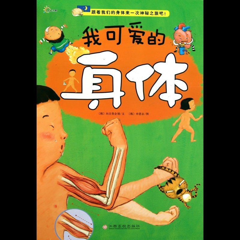 《我可爱的身体(精)》图片()【简介|评价|摘要|在线阅读】-国美博库网