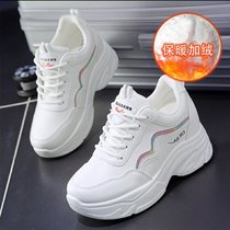 SUNTEK厚底老爹鞋女ins潮春秋2021新款百搭内增高休闲运动鞋秋冬季加绒(37 【标准码】 彩色加绒款)