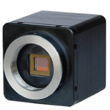 HAWKEM247cl 红外CCD 350-1100NM 红外摄像头 原装进口红外摄像头