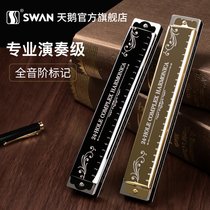 天鹅口琴24孔C调复音儿童初学者学生成人入门乐器 黑色【全套赠品+视频教程】(银色 复音口琴)
