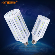 辉旭特 LED灯泡E27大螺口球泡LED玉米灯泡商场照明灯泡光源节能灯(40W 暖白光)