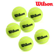 Wilson 维尔胜 IFT网球无压耐用网球训练 一个T1360(一个装)