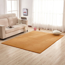 珊瑚绒图案纯色地毯适合客厅卧室床边(珊瑚绒香槟色 40cmx60cm)