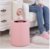 卫生间垃圾桶家用创意厕所无盖客厅双层北欧风卧室简约时尚 12L粉色JMQ-348