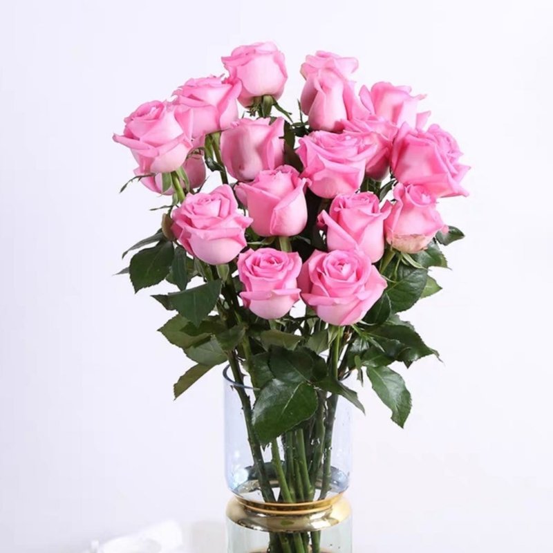 苏醒玫瑰玫红色182枝