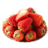 佳沃丹东99红颜草莓普通装 鲜享小果 单果20g起 500g 应季奶油红颜 顺丰空运