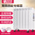 昂彼特堡（UNBEATABLE)EC系列 欧式家用电暖气片/电暖器/取暖器 低碳环保节能 居浴两用畅销欧美(经典白 1200W)