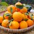 静奶奶江西赣南脐橙 10斤装(净果9斤左右） 果径60-70mm 应季鲜果