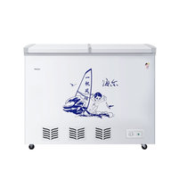 海尔（Haier）BC/BD-220SE 220升卧式单温家用 商用冷藏冷冻转换冷柜