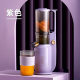 大宇原汁机DY-BM03 渣汁分离家用迷你小型便携式多功能炸果汁原汁机榨汁机(紫色)