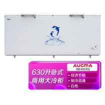 澳柯玛(AUCMA)630升卧式顶开门冰柜 大容量整箱整盒 转换型冷藏冷冻 压花铝板内胆 BC/BD-630