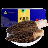 川珍羊肚菌100g新鲜营养菇类蘑菇个大肉厚菌类煲汤食材(自定义)