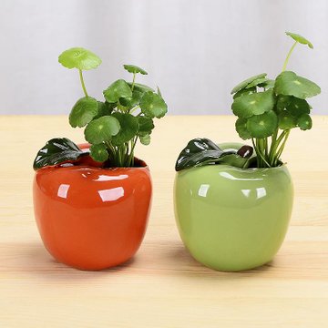 创意柿子水培花瓶摆件陶瓷花器客厅桌面玄关新房乔迁礼物装饰品青橘