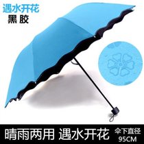 折叠全自动雨伞大号三折伞女学生可爱晴雨两用太阳伞防紫外线(【手动款】遇水开花蓝色 默认)