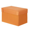 慧乐家（Funature）FNEJ-66008长方形牛津布储物（收纳凳橙色）
