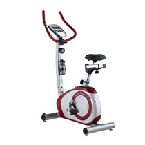 艾威健身车BC7901立式家用健身车 脚踏车 家用磁控健身车 立式磁控健身单车(红色 立式健身车)