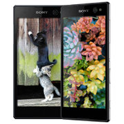 索尼（SONY）Xperia C3 S55t 4G手机（星空黑）移动公开版