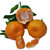 四川 椪柑 芦柑 新鲜椪柑甜蜜橘子 新鲜水果约4.5斤(坏过包赔）(2.2kg)
