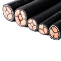 率龙电线电缆户外电力电缆4*95+1*95国标带铠（单位：米）(黑色 4*95+1*50)