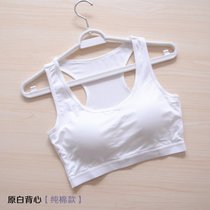 SUNTEK莫代尔短款bra-t打底吊带背心裹胸无钢圈文胸运动内衣抹胸带胸垫(原白背心【纯棉款】 XXL)