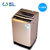 WEILI/威力 XQB73-1679D 波轮洗衣机全自动 大7公斤洗衣机7.3kg