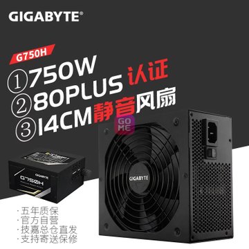 /Gigabyte G750H Դ750W ̨ʽԴģܾ(G750H 750W 750W )