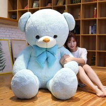 泰迪熊猫毛绒玩具公仔玩偶布娃娃抱抱熊女生大号女孩大型睡觉喜欢(肥版冰心领结熊-蓝色 1.2米)