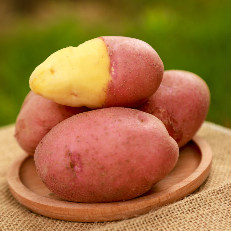 囤货山西静乐红皮土豆高海拔沙壤土香甜软糯8斤装产地直发8斤装