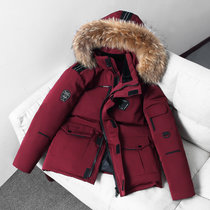 龙中龙 羽绒服男短款2020冬季新款冬装休闲外套(红色 L)