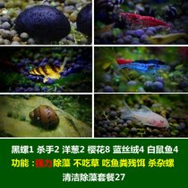 马来螺苹果螺观赏螺活体除藻螺鱼缸清洁吃鱼屎工具水族淡水螺套餐(翠绿色 默认版本)