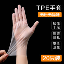 一次性手套食品级PVC餐饮烘培乳胶橡胶加厚TPE厨房防油家用防护(20只装 M)