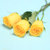 花港码头 鲜花超市 单枝玫瑰 选用云南A级鲜花花材 满59元包邮(金枝玉叶黄色)