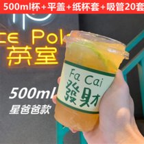 塑料咖啡杯ins风网红奶茶杯子一次性带盖冷饮打包外卖杯外带透明(500ml杯+平盖+纸杯套+吸管20套 默认版本)