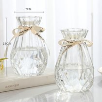 创意花瓶玻璃透明水养客厅摆件鲜花插花瓶北欧简约富贵竹干花花瓶(15CM+15CM新诺2件【透明】中等 默认版本)