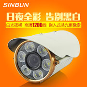 星邦（SINBUN）白光灯摄像机 路灯型 高清监控摄像头 防水 日夜全彩1200线(12mm)