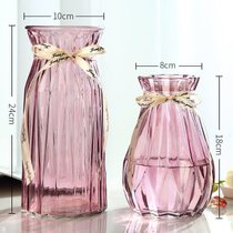 创意花瓶玻璃透明水养客厅摆件鲜花插花瓶北欧简约富贵竹干花花瓶(24CM浪漫+18新诺2件套【酒红】中 默认版本)