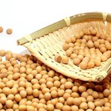 御龙源精选黄豆 500g*3袋 黑龙江特产 非转基因 豆浆豆