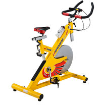 艾威EVERE立式健身车BC4800双向动感单车25KG大飞轮(炫黄色)