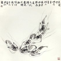 梁红 国画 花鸟画 水墨写意 竟山 虾 斗方